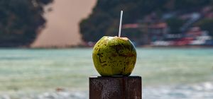 Categoria Sem Emoção