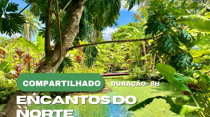 Encantos do Norte de 4x4