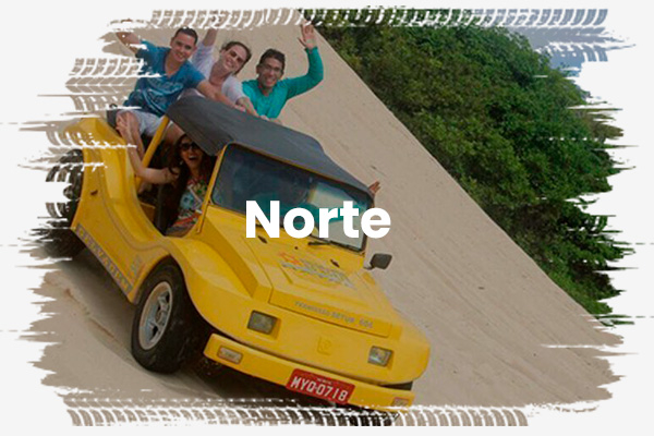 Vitrine Banner norte